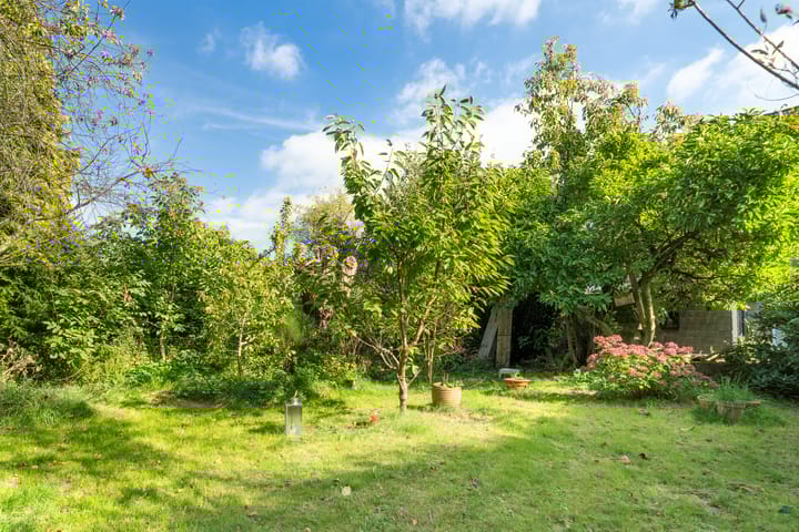 Foto 5 van Drievogelstraat 34