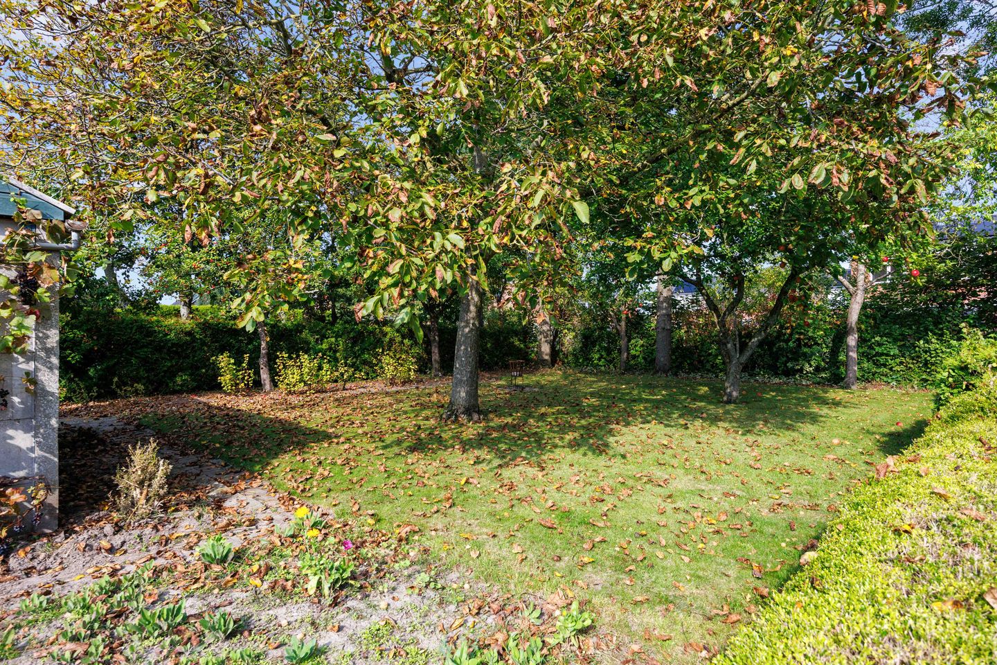 Foto 34 van Meidoornweg 23