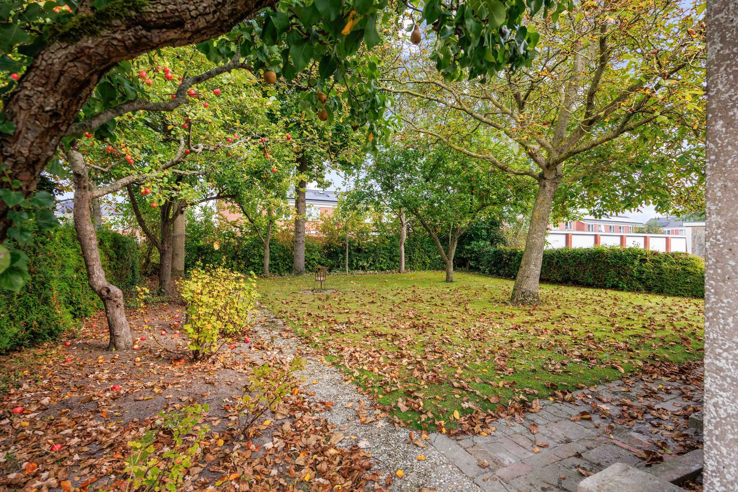 Foto 35 van Meidoornweg 23