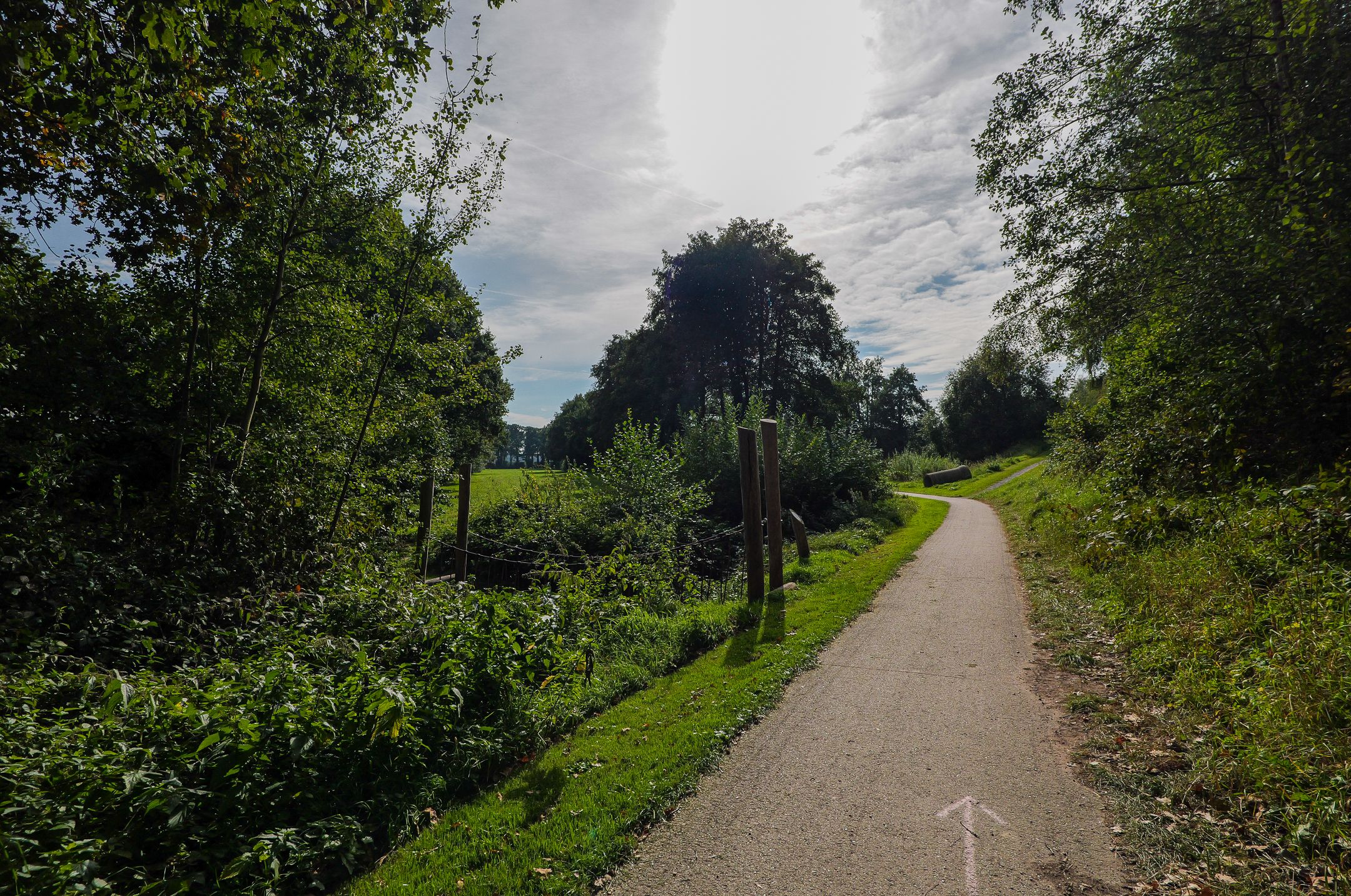 Photo 3 of Lijsterlaan 95