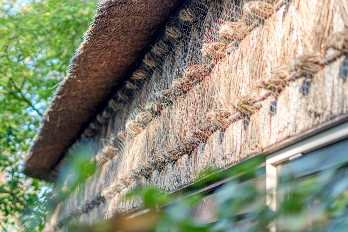 Foto 10 van Ommerweg 41