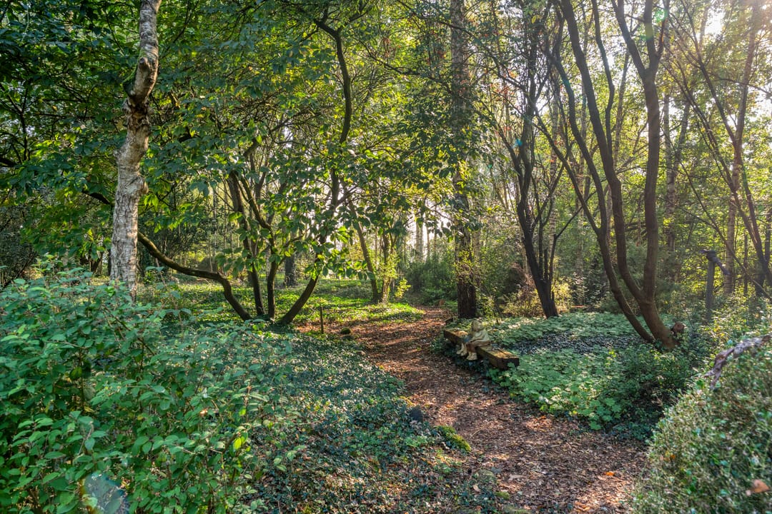 Foto 82 van Ommerweg 41