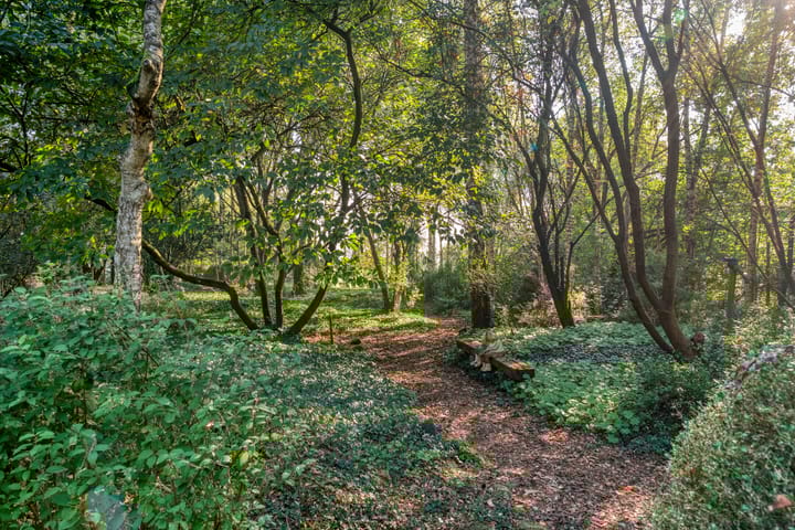 Foto 82 van Ommerweg 41