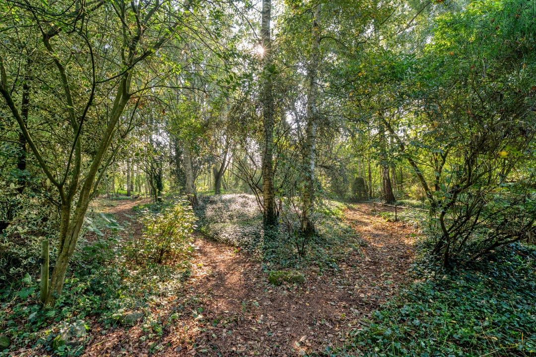 Foto 83 van Ommerweg 41