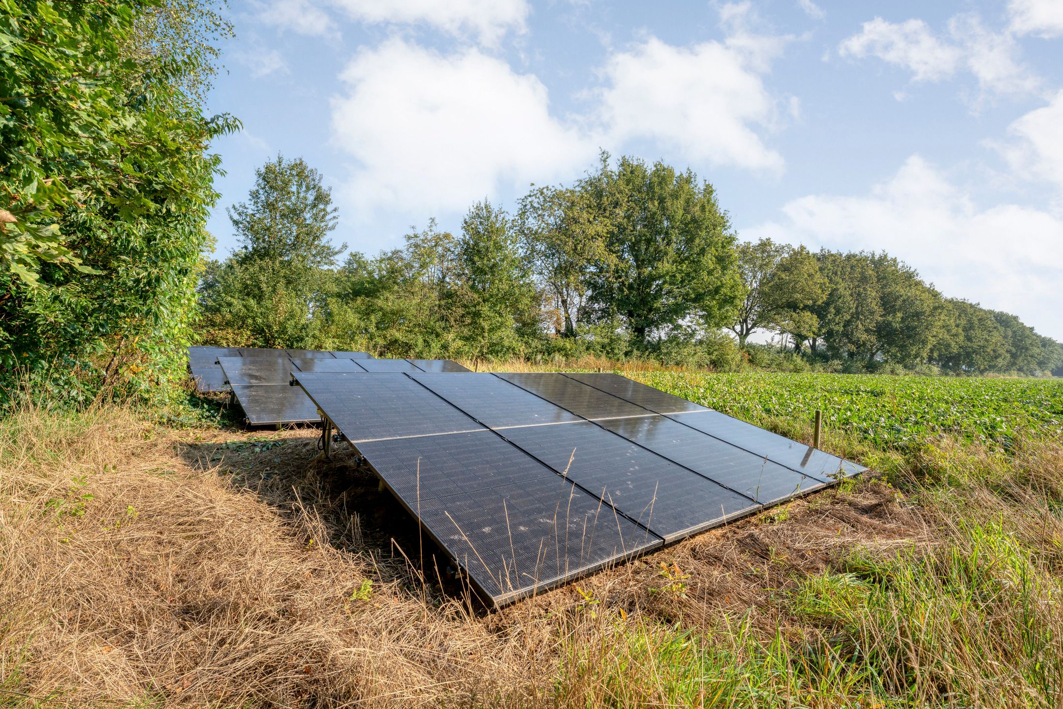 Foto 84 van Ommerweg 41