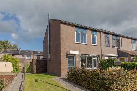 undefined main image