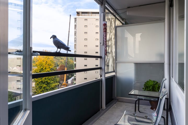 Photo 14 of Loolaan 27-55