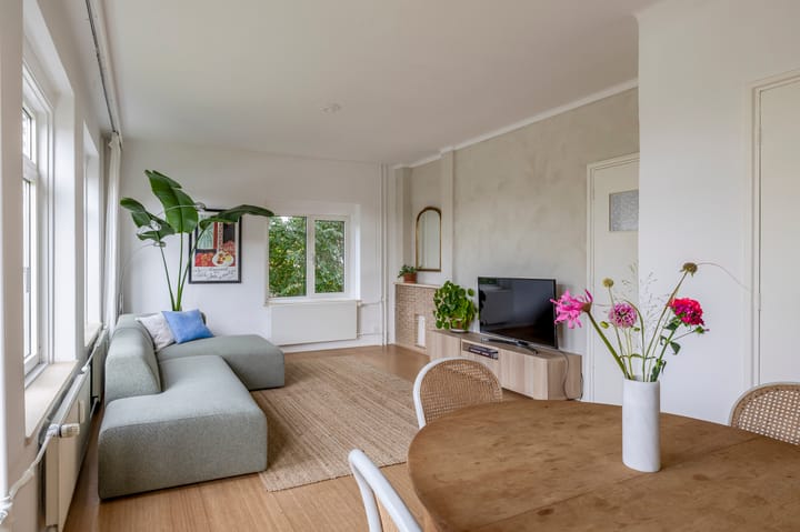 Foto 14 van Victor Hugoplantsoen 25-2