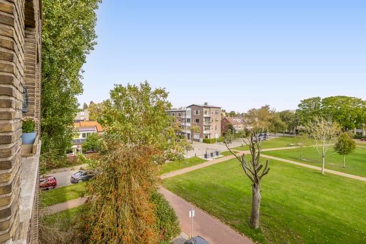 Foto 28 van Victor Hugoplantsoen 25-2