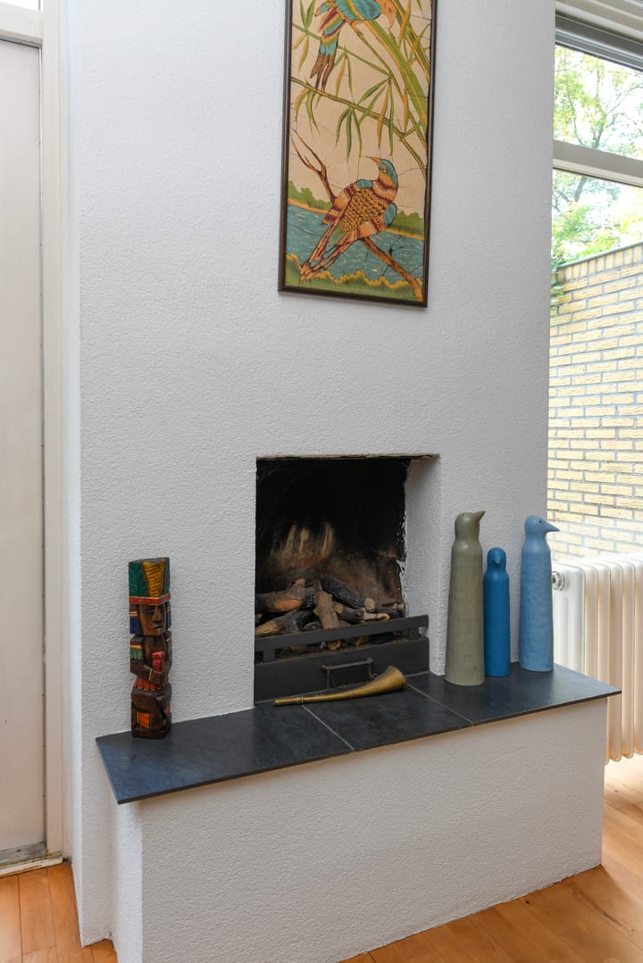 Foto 7 van Tilanuslaan 20