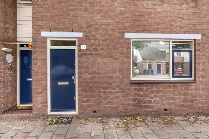 Photo 5 of Malmöpad 77