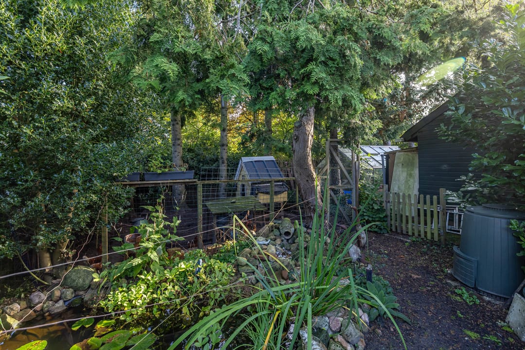 Foto 37 van Esakkers 6