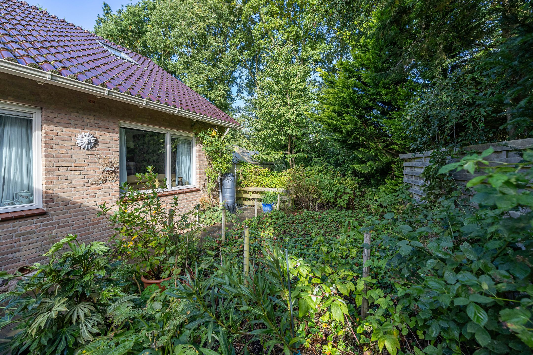 Foto 39 van Esakkers 6