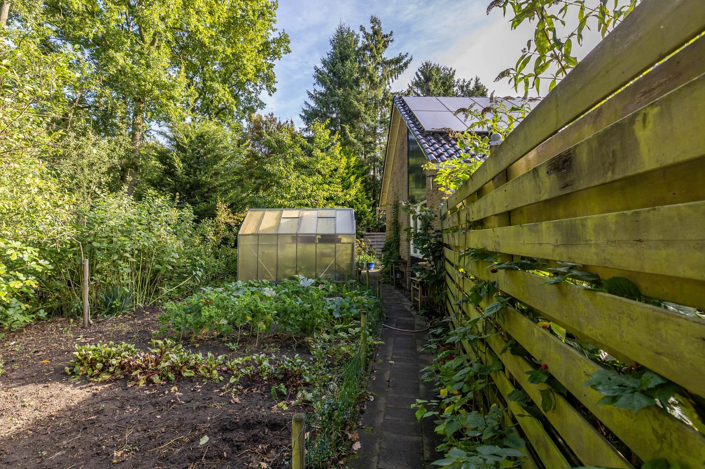 Foto 40 van Esakkers 6