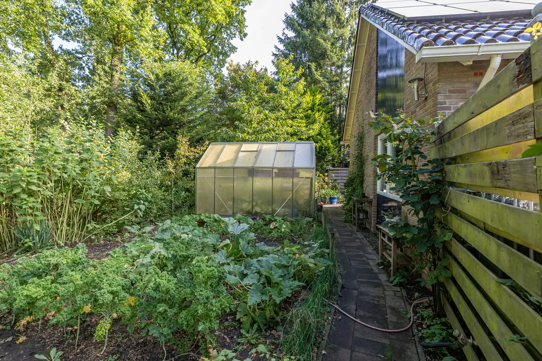 Foto 41 van Esakkers 6