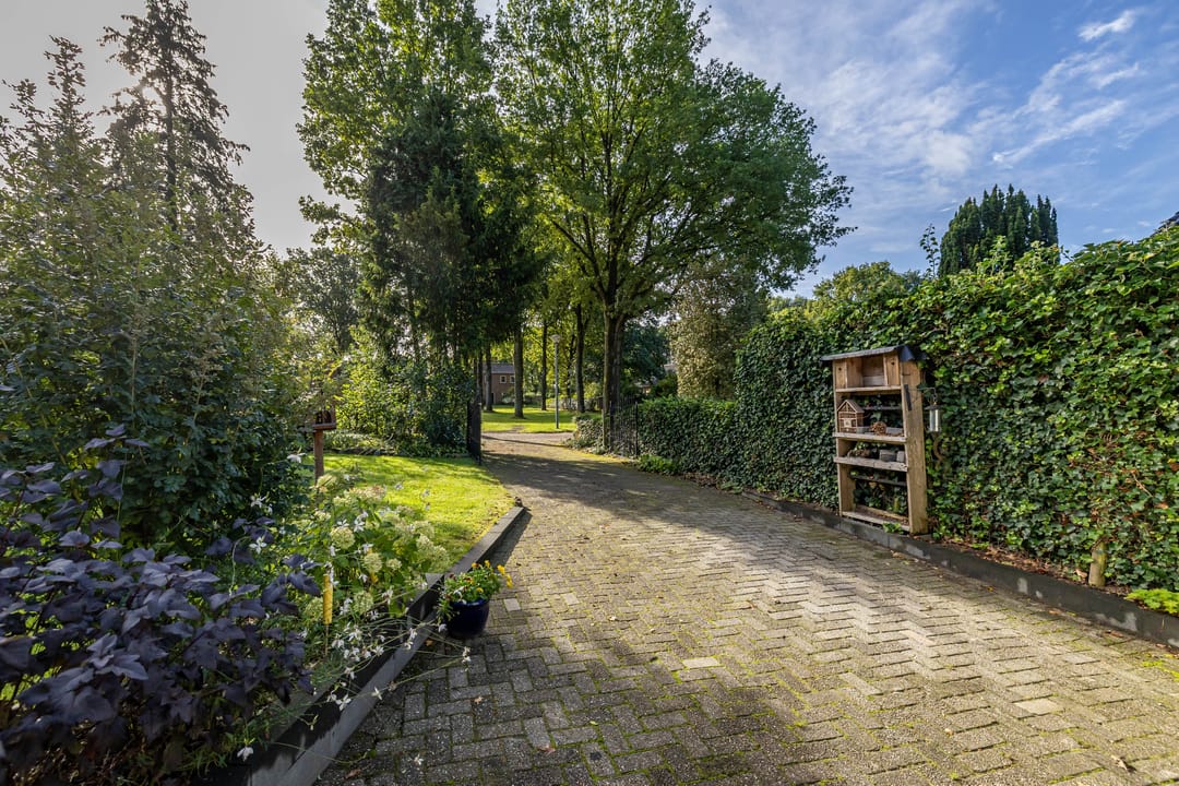 Foto 47 van Esakkers 6