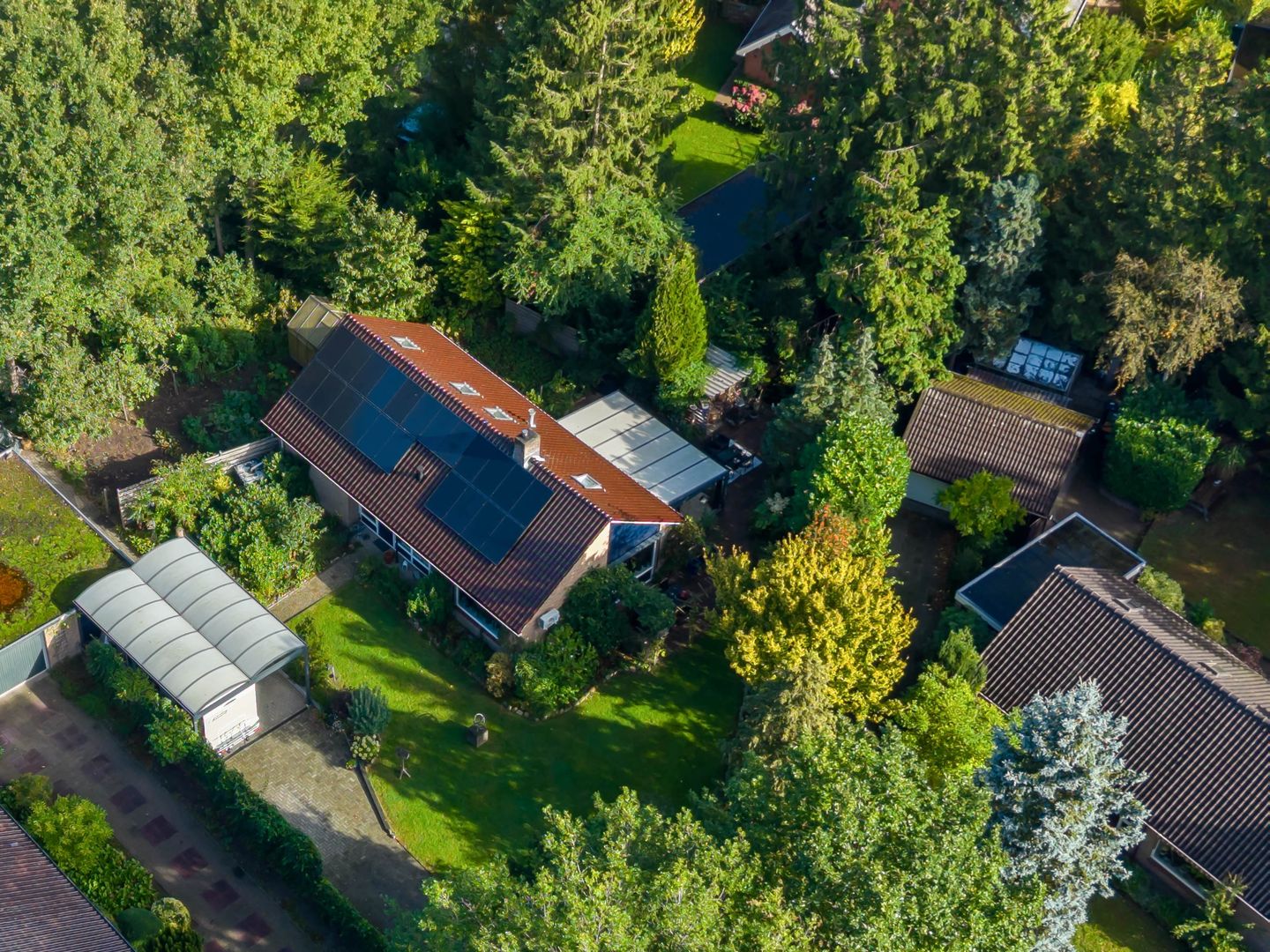 Foto 50 van Esakkers 6