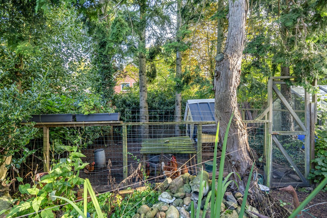 Foto 38 van Esakkers 6