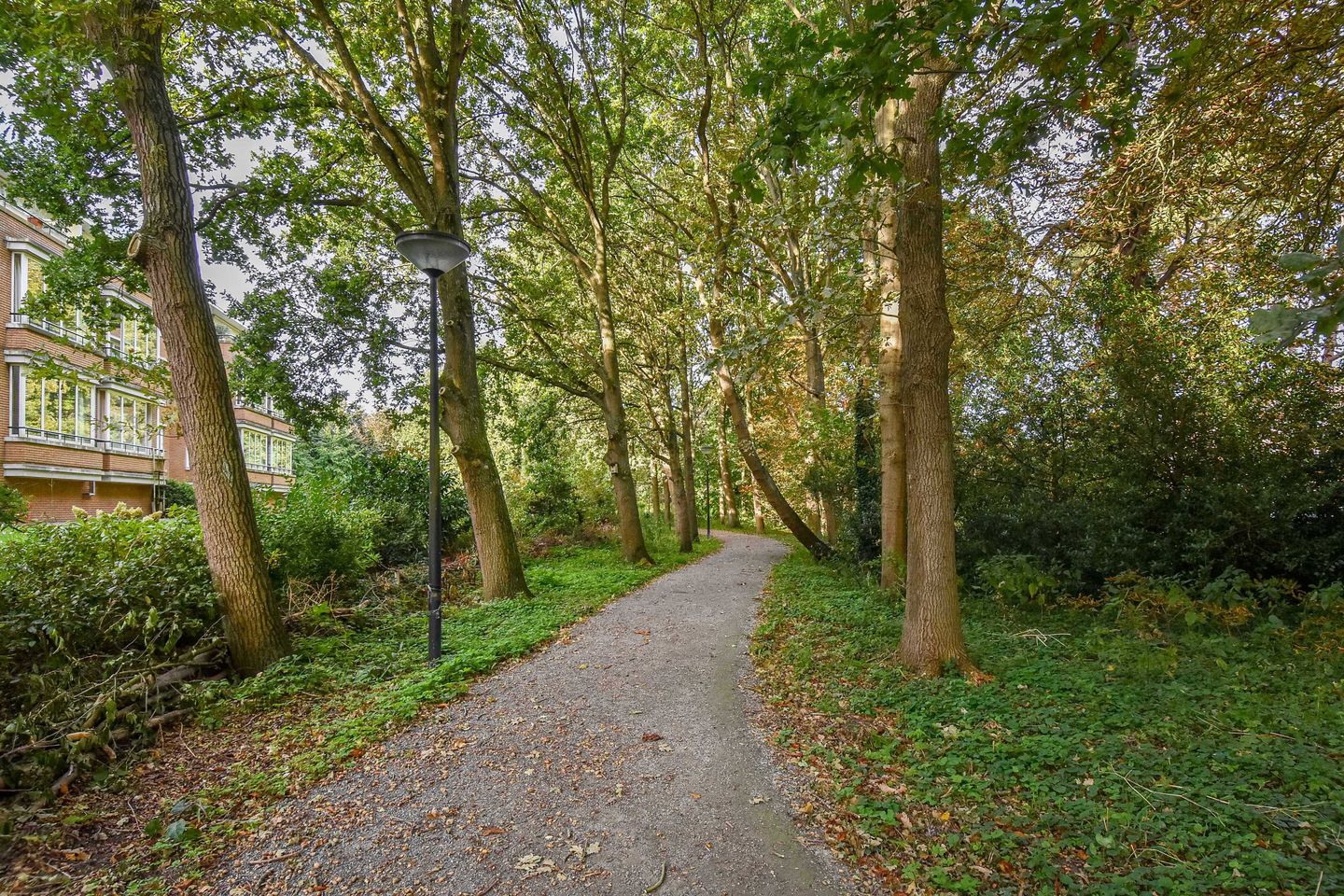 Foto 20 van Floris Arntzeniusplein 103