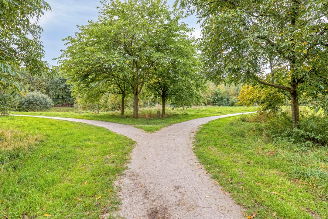 Foto 31 van Straatsburglaan 37