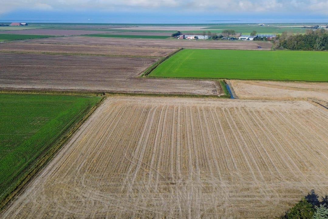 Foto 2 van Simon Sipmastrjitte 16