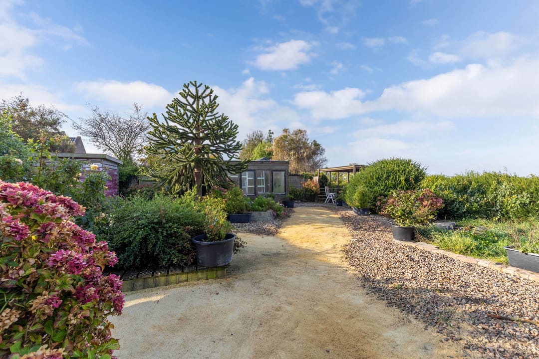 Foto 38 van Simon Sipmastrjitte 16