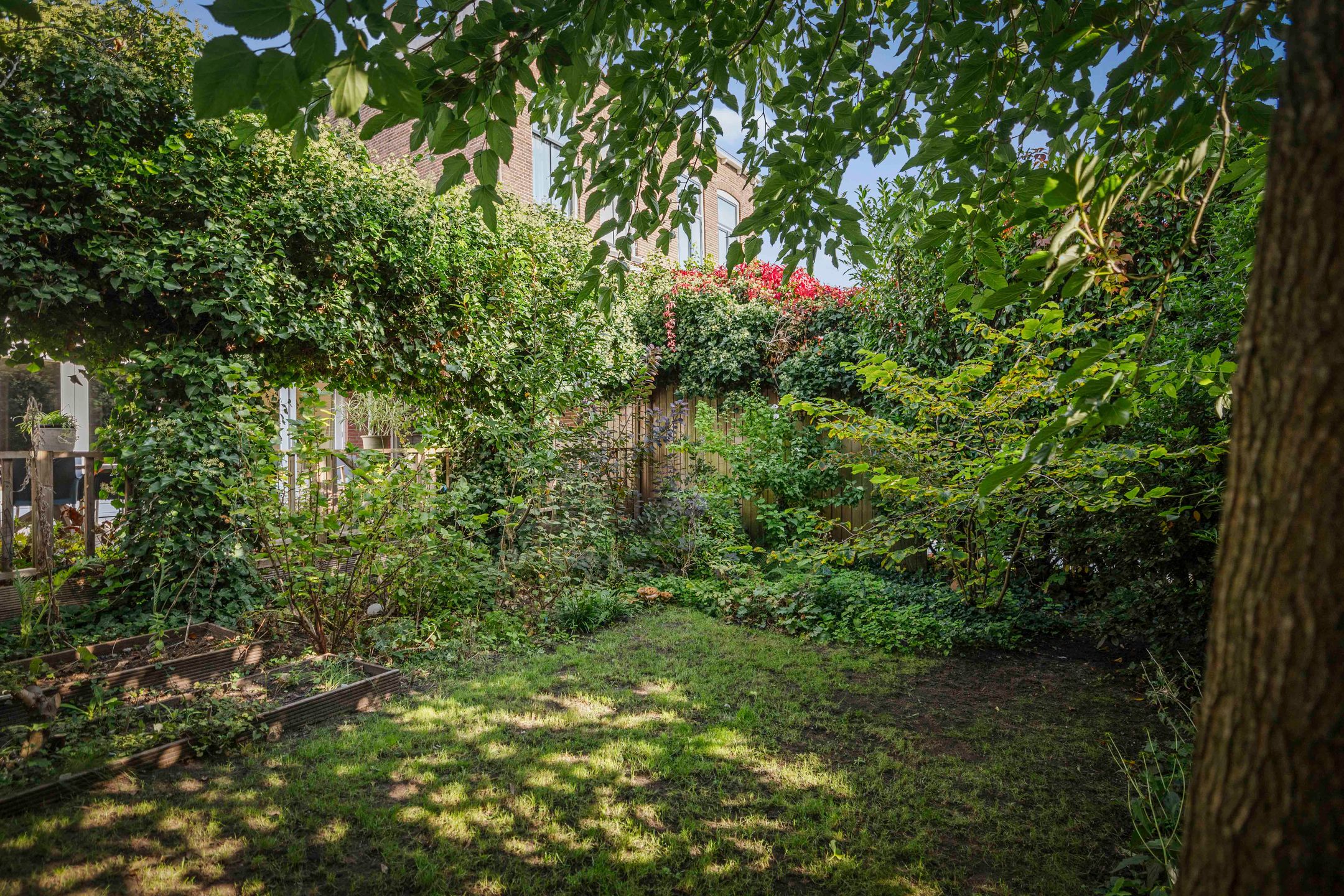 Foto 51 van Binnensingel 76