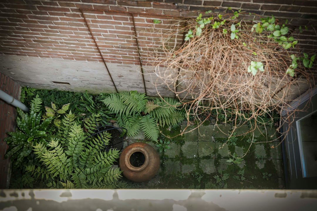 Foto 56 van Binnensingel 76