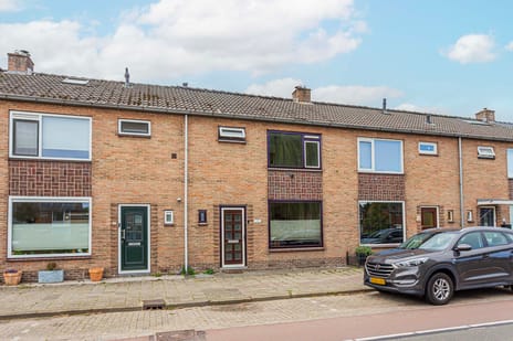 undefined main image