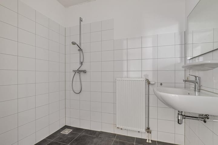 Foto 29 van Zwaanstraat 124