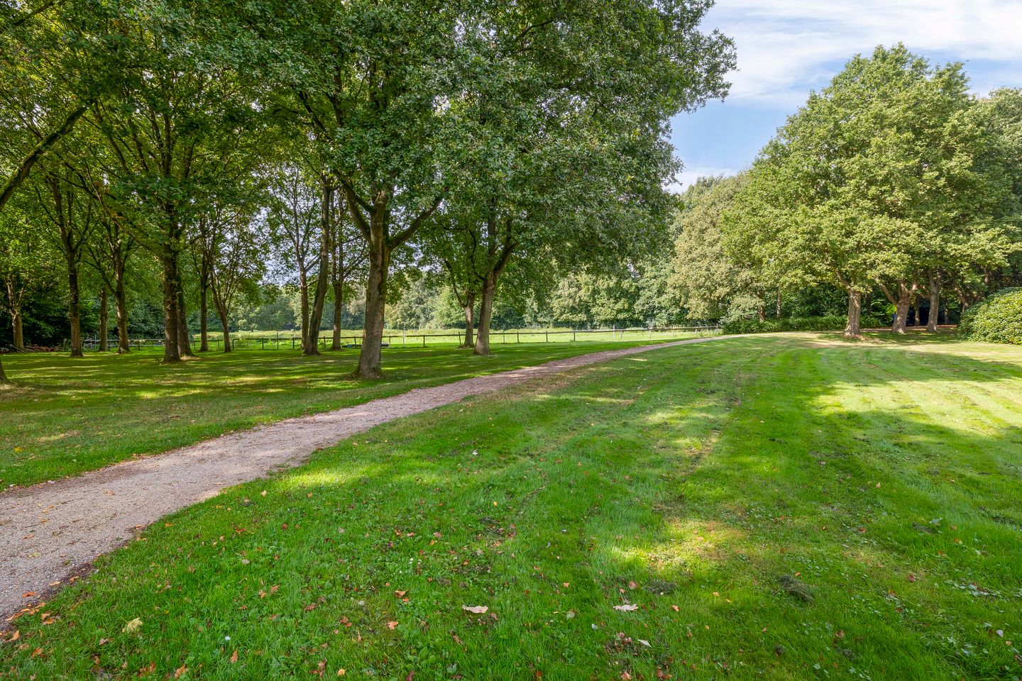 Photo 65 of Grote Borg 14