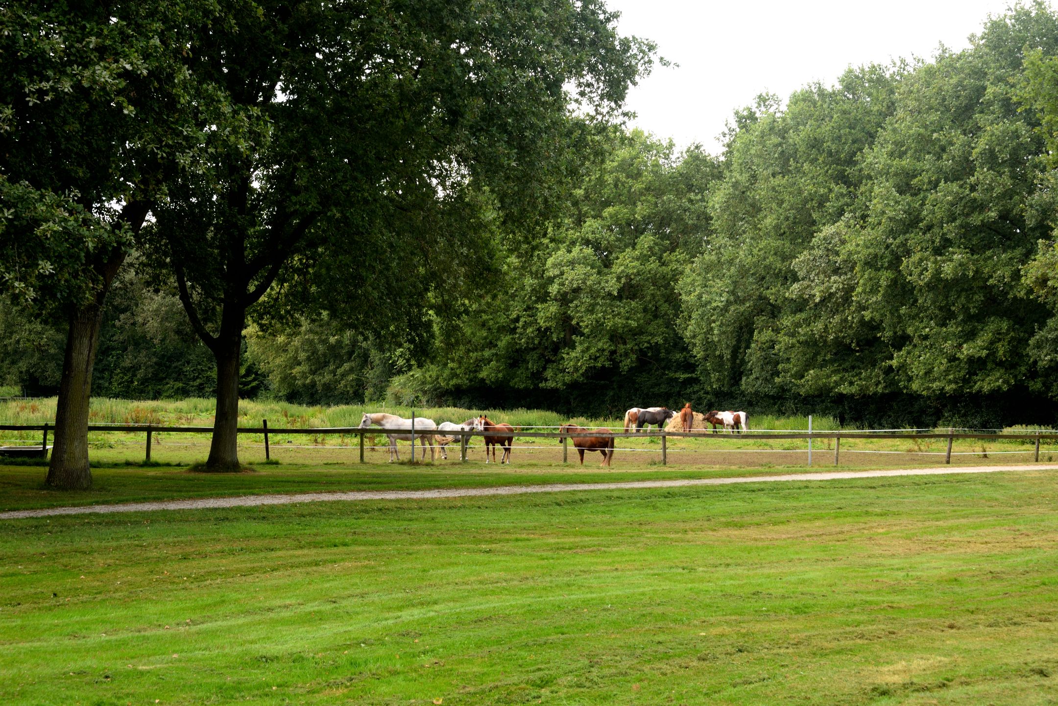 Photo 69 of Grote Borg 14