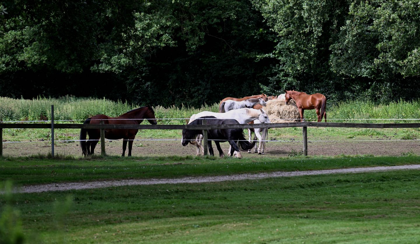 Photo 70 of Grote Borg 14