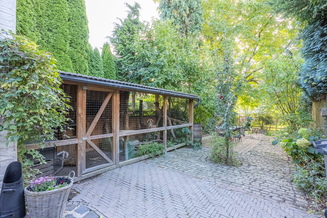 Foto 23 van Begoniastraat 9