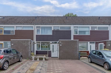 undefined main image