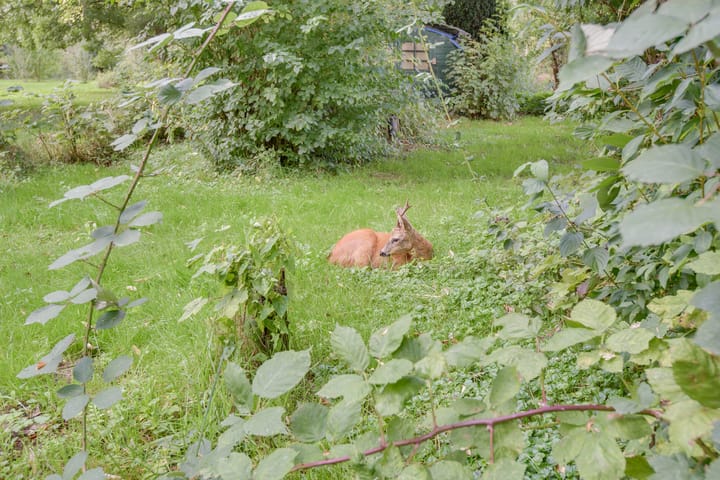 Photo 32 of Oudendijk 12