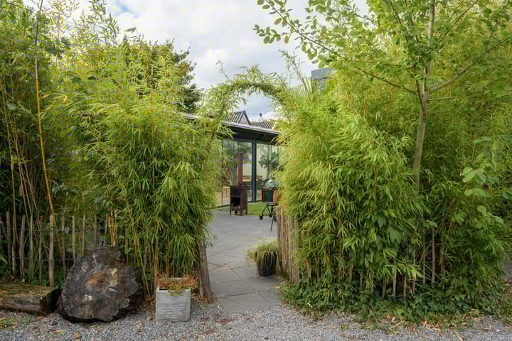 Photo 54 of Hoge Steenweg 17