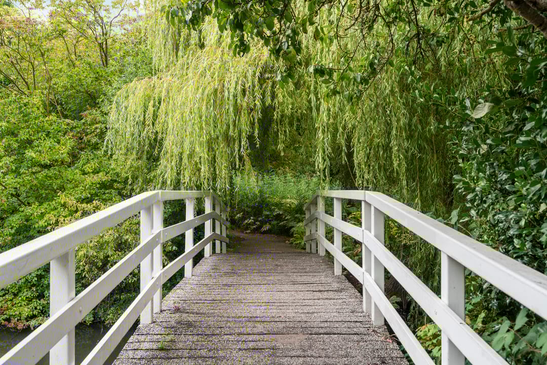 Foto 41 van In de Korenmolen 5