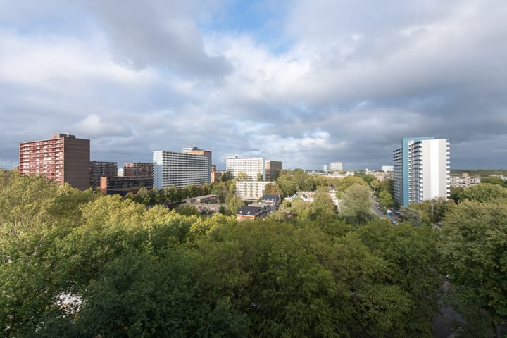 Foto 30 van Aart van der Leeuwlaan 104