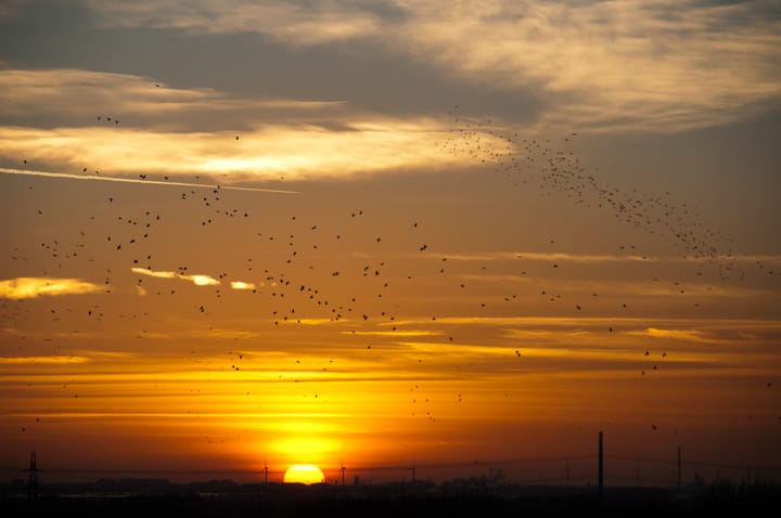 Foto 35 van Aart van der Leeuwlaan 104