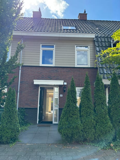 undefined main image