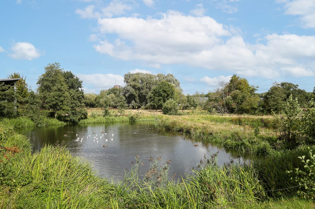 Foto 47 van Gestelsestraat 10