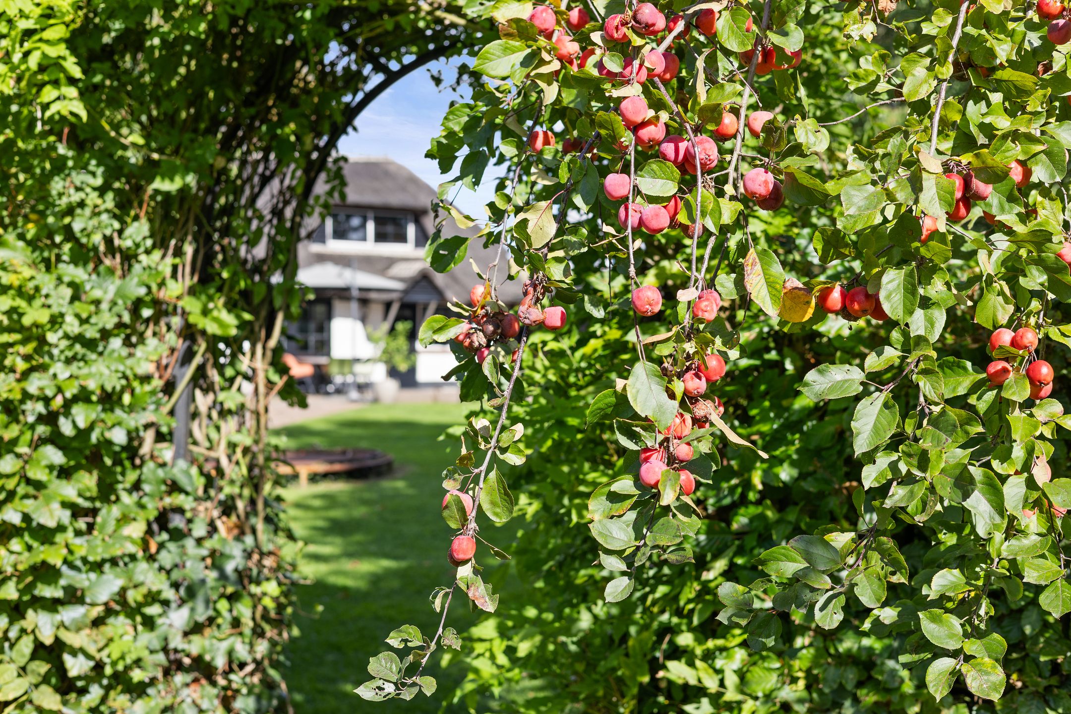 Photo 66 of Inlaagdijk 57