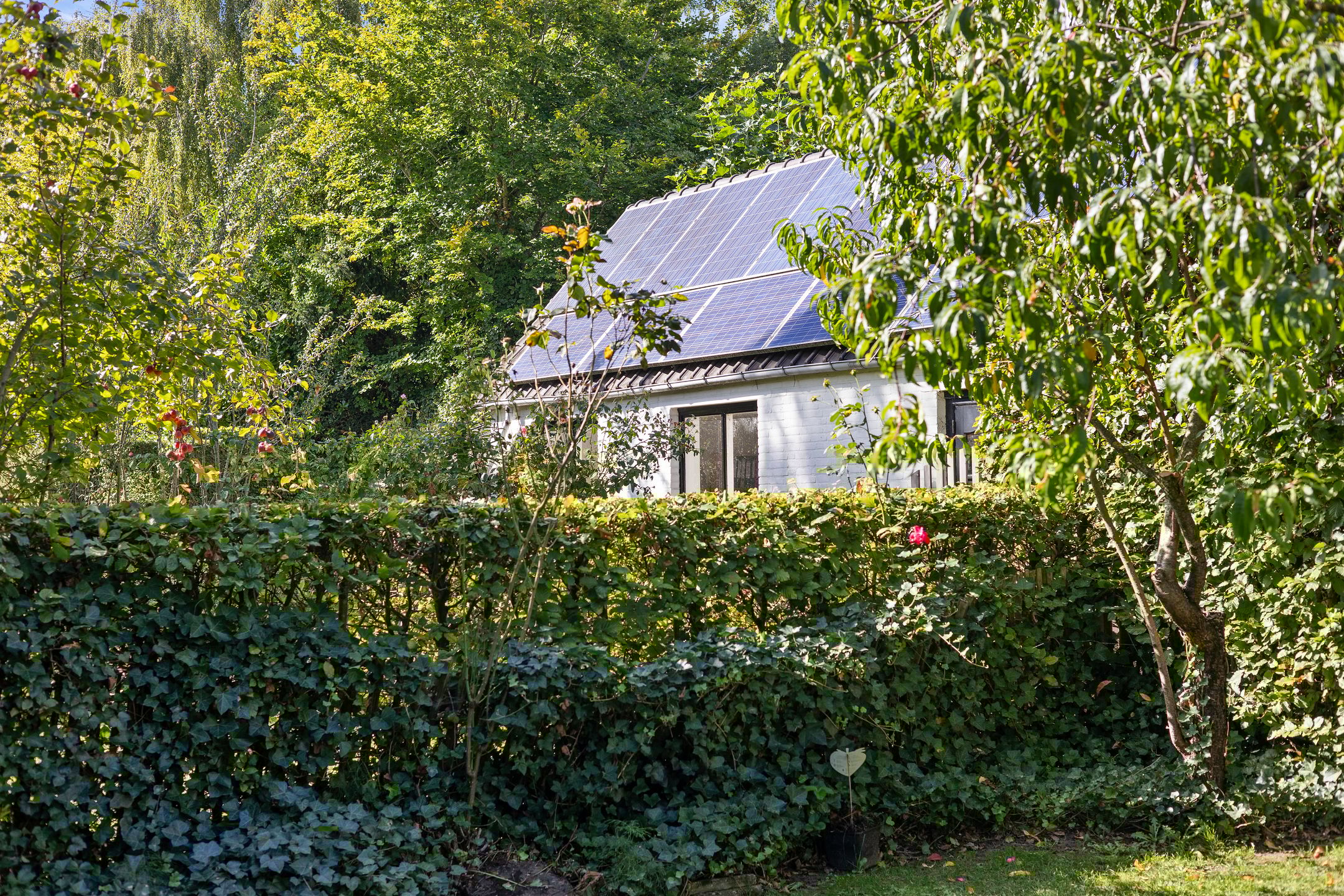 Photo 63 of Inlaagdijk 57