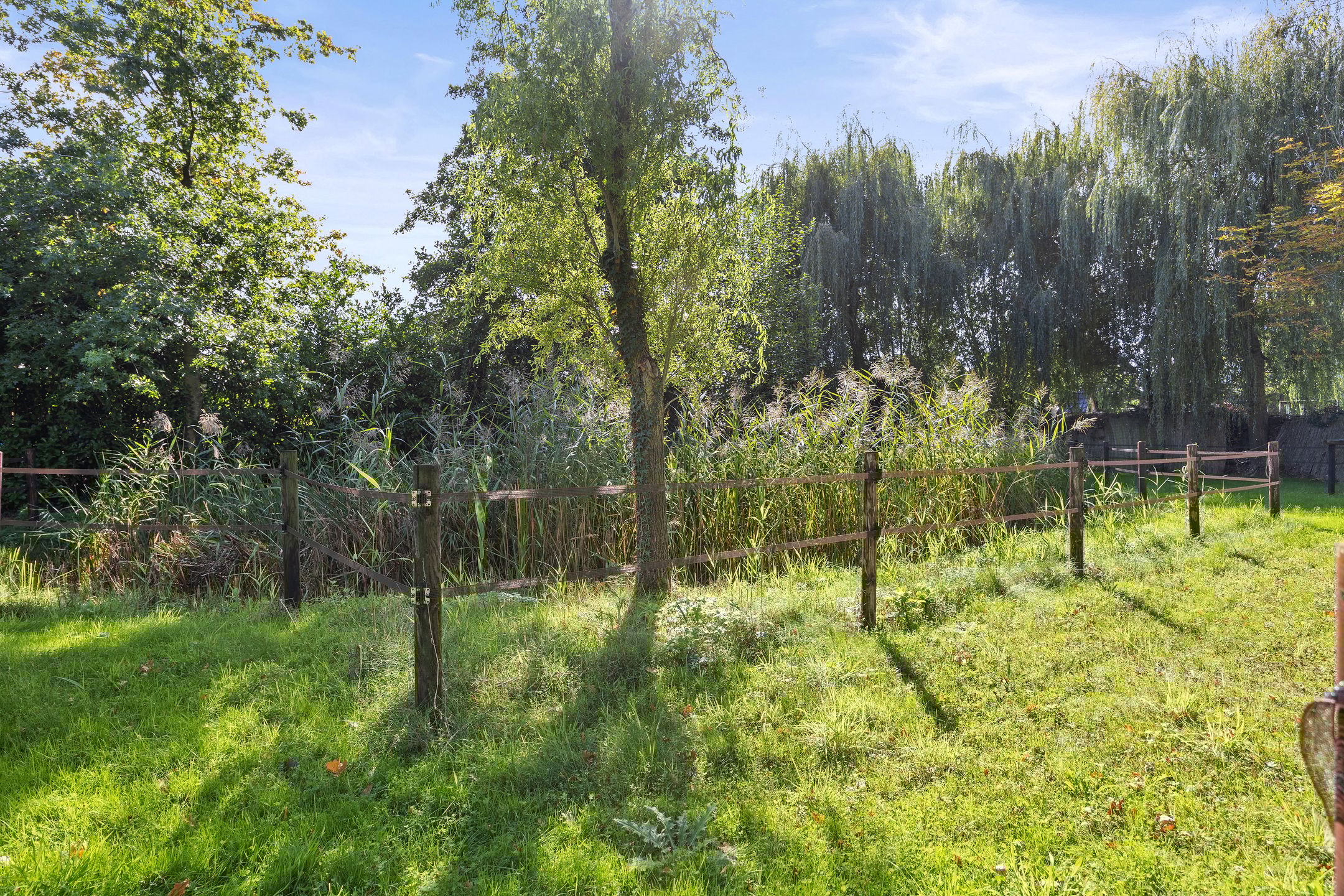 Photo 78 of Inlaagdijk 57