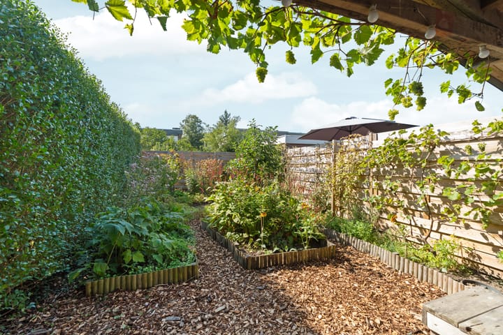 Photo 27 of St. Jacobslaan 540