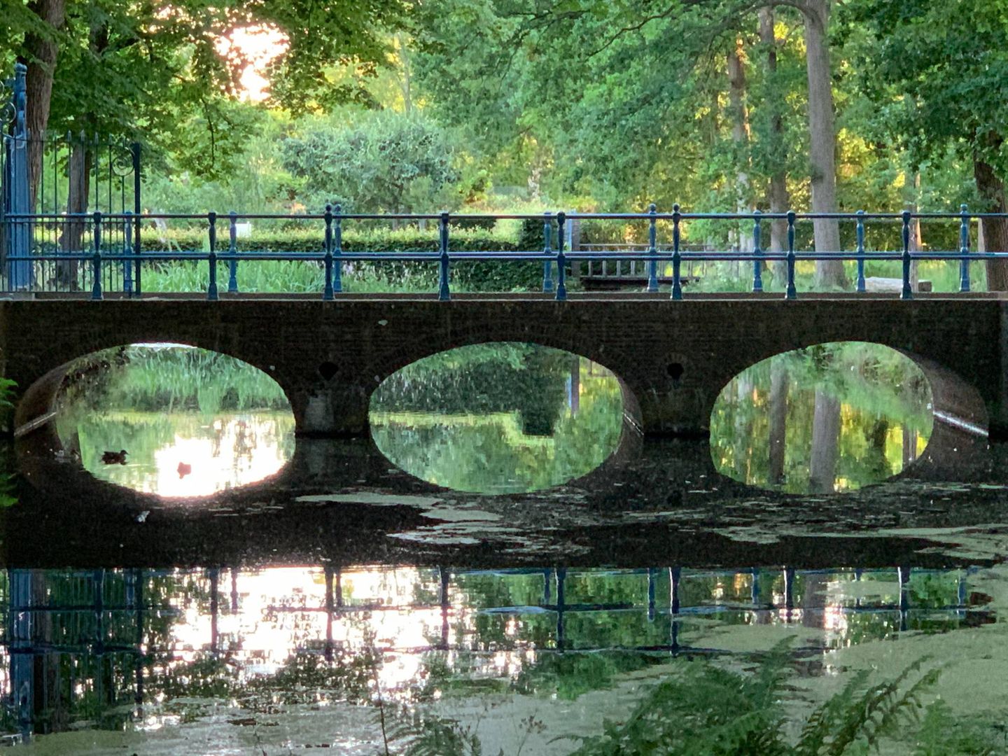 Photo 49 of Nieuw-Loosdrechtsedijk 146-H2