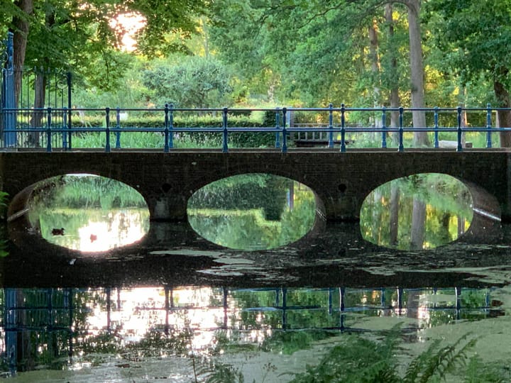 Foto 49 van Nieuw-Loosdrechtsedijk 146-H2