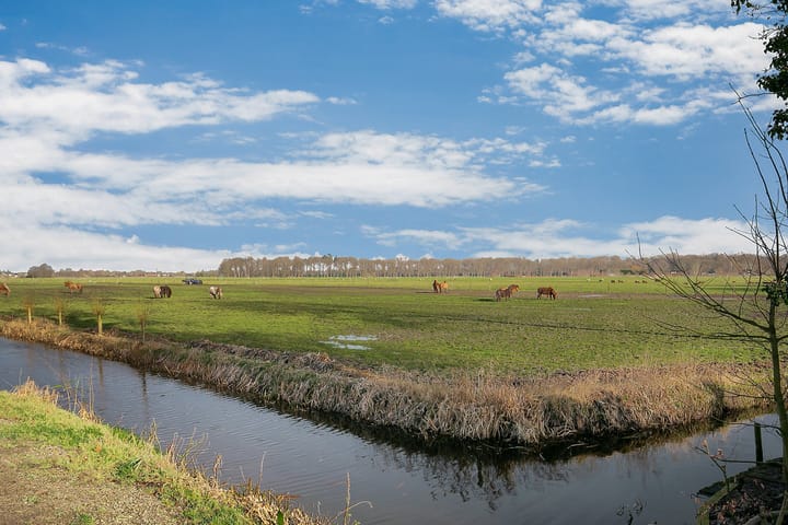 Foto 50 van Nieuw-Loosdrechtsedijk 146-H2