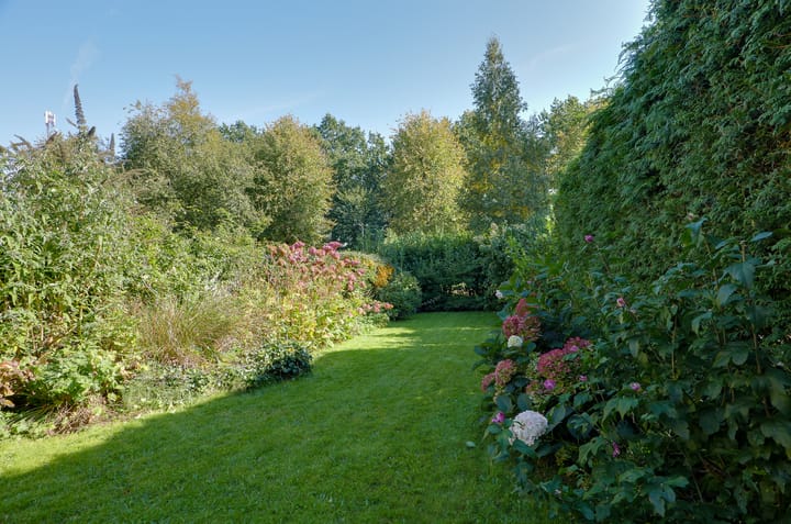 Foto 27 van Obrechtlaan 174